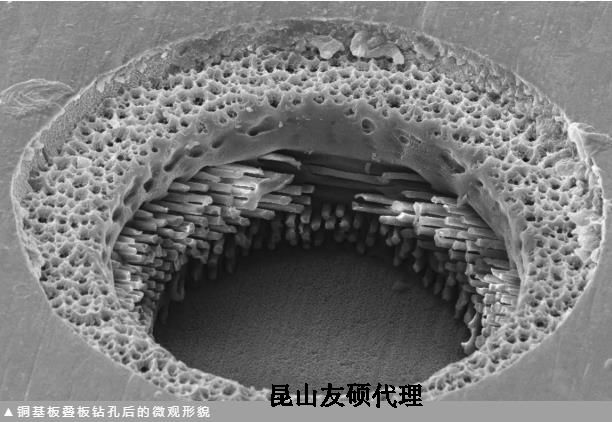 沧州蔡司沧州扫描电镜